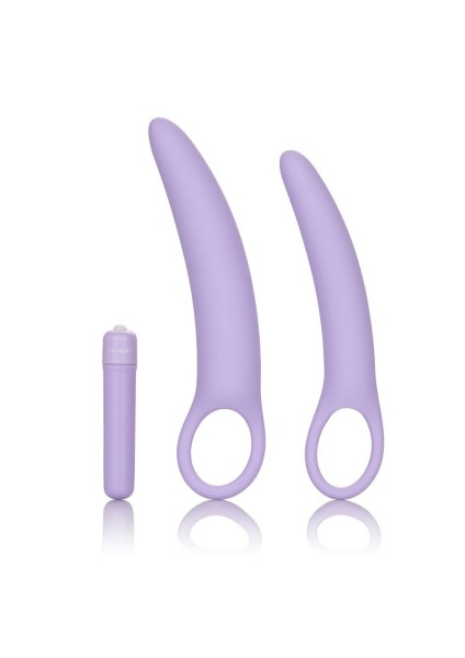 Purple Vibrating Dildo Set