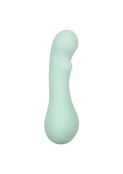 Pazifischer Vibrator