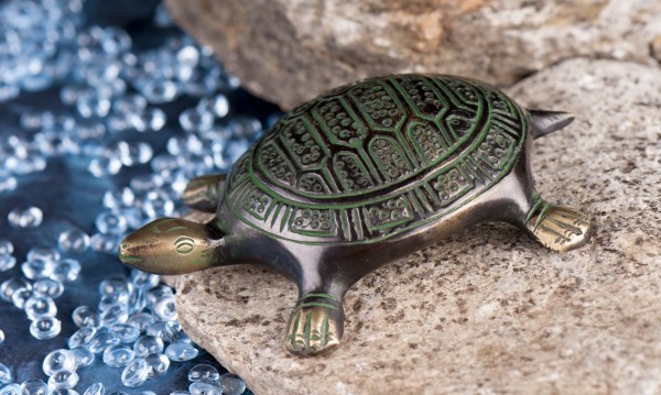 Turtle small, 10.5 cm