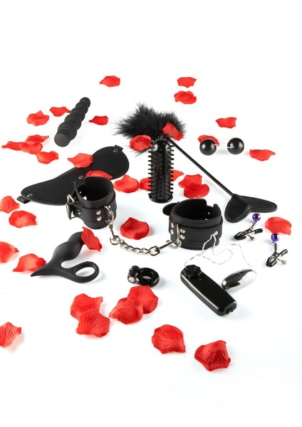 Sextoy-Set "Überraschendes Vergnügen"