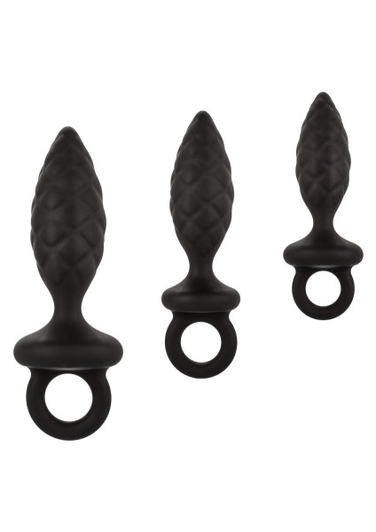 Set zapfenförmige Anal-Plugs mit Ringgriff