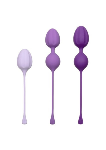 Purple Pelvic Floor Muscle Training Set